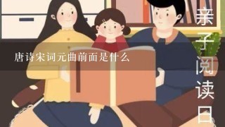 唐诗宋词元曲前面是什么