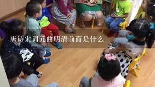 唐诗宋词元曲明清前面是什么