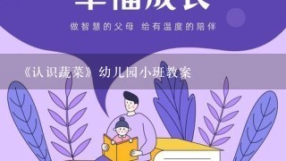 《认识蔬菜》幼儿园小班教案