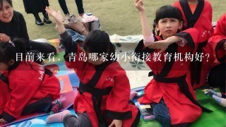 目前来看，青岛哪家幼小衔接教育机构好？