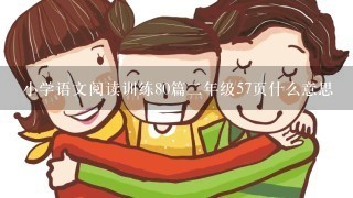 小学语文阅读训练80篇2年级57页什么意思