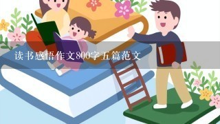 读书感悟作文800字5篇范文