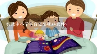 智慧中小学平台需要哪些软件?